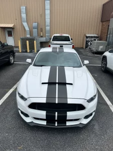 White with Black Stripes 3