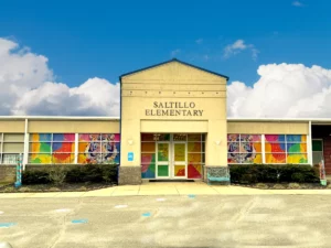 Saltillo Elementary Tigers retouched no car web